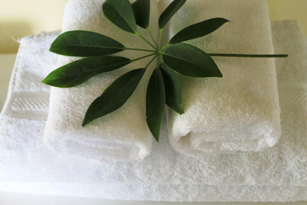 Hotel Boutique Valverde Cumbres De La Escalon Mexicanos 外观 照片