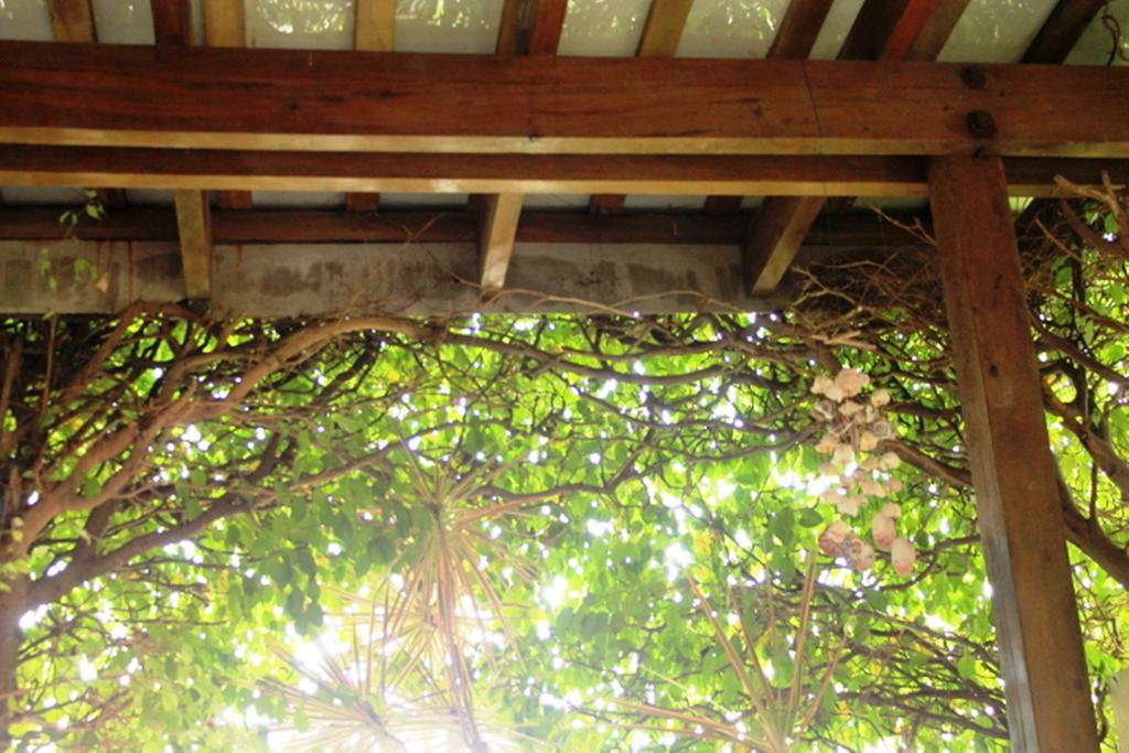Hotel Boutique Valverde Cumbres De La Escalon Mexicanos 外观 照片
